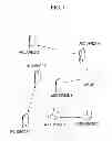 Fig. 02 - METHOD FOR RESOURCE ACCESS IN WIRELESS COMMUNICATION NETWORK