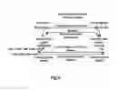 Fig. 07 - Method and apparatus for data transmission in communication network