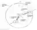 Fig. 01 - Control mechanism for communication via different frequency bands