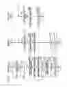 Fig. 06 - Wireless signal transmitting method and wireless apparatus