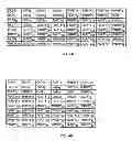 Fig. 06 - Reverse link pilot integrated with block codes