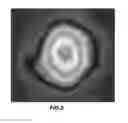Fig. 03 - Raman converting laser systems