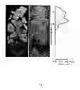 Fig. 02 - METHOD FOR 3D MINERAL MAPPING OF A ROCK SAMPLE