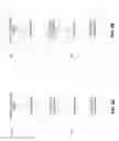 Fig. 07 - Downloading of data to secure devices