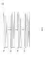 Fig. 09 - Sound field spatial stabilizer with echo spectral coherence compensation