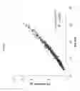 Fig. 09 - Immature ear photometry in maize