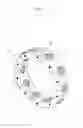 Fig. 02 - Cage for rolling bearing