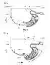 Fig. 09 - Patch panel pivoting tray cable retention mechanisms