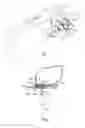 Fig. 04 - Developer container, process cartridge and image forming apparatus