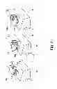 Fig. 03 - Shutter mechanism, developer accommodating container, process cartridge and image forming apparatus