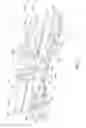 Fig. 03 - SCREED FRAME AND PLATE