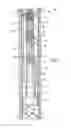 Fig. 02 - Integrated pump and compressor and method of producing multiphase well fluid downhole and at surface
