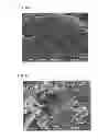 Fig. 06 - Method for producing flake graphite, and flake graphite