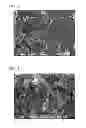 Fig. 07 - Method for producing flake graphite, and flake graphite