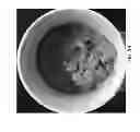 Fig. 14 - SYSTEMS AND METHODS FOR REMOVING FINELY DISPERSED PARTICULATE MATTER FROM A FLUID STREAM