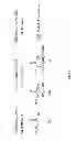 Fig. 06 - Conformations of divergent peptides with mineral binding affinity