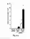 Fig. 06 - Wet-electrospun biodegradable scaffold and uses therefor