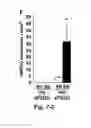 Fig. 09 - Wet-electrospun biodegradable scaffold and uses therefor