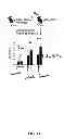 Fig. 08 - Materials and methods to enhance hematopoietic stem cells engraftment procedures