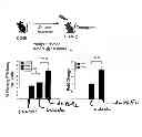 Fig. 09 - Materials and methods to enhance hematopoietic stem cells engraftment procedures