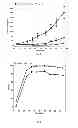 Fig. 04 - ANTICANCER FUSION PROTEIN