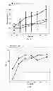 Fig. 06 - ANTICANCER FUSION PROTEIN
