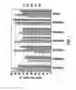 Fig. 02 - Placental stem cell populations