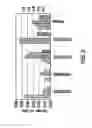 Fig. 03 - Placental stem cell populations