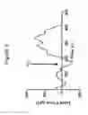 Fig. 04 - Innervation of engineered structures