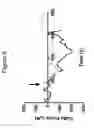 Fig. 07 - Innervation of engineered structures