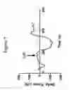 Fig. 08 - Innervation of engineered structures