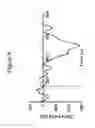 Fig. 09 - Innervation of engineered structures