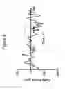 Fig. 10 - Innervation of engineered structures