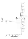 Fig. 04 - SUBTYPES OF HUMANIZED ANTIBODY AGAINST INTERLEUKIN-6 RECEPTOR