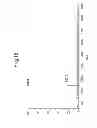 Fig. 17 - SUBTYPES OF HUMANIZED ANTIBODY AGAINST INTERLEUKIN-6 RECEPTOR