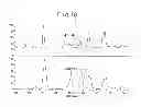 Fig. 19 - SUBTYPES OF HUMANIZED ANTIBODY AGAINST INTERLEUKIN-6 RECEPTOR
