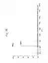 Fig. 20 - SUBTYPES OF HUMANIZED ANTIBODY AGAINST INTERLEUKIN-6 RECEPTOR