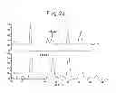 Fig. 23 - SUBTYPES OF HUMANIZED ANTIBODY AGAINST INTERLEUKIN-6 RECEPTOR