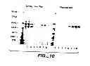 Fig. 09 - Optimized Fc variants and methods for their generation