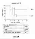 Fig. 03 - PROTECTIVE VACCINE BASED ON STAPHYLOCOCCUS AUREUS SA2074 PROTEIN