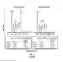 Fig. 08 - COMPOSITIONS AND METHODS RELATED TO DNA DAMAGE REPAIR