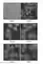 Fig. 09 - COMPOSITIONS AND METHODS RELATED TO DNA DAMAGE REPAIR