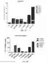 Fig. 06 - Tuberculosis compositions and methods of using the same