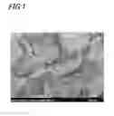 Fig. 02 - Highly functional coloring material and production process for the same