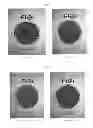 Fig. 04 - Antimicrobial wound-covering material and method for manufacturing same