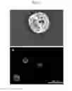 Fig. 02 - Composition for controlled release of physiologically active substance