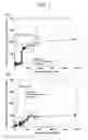 Fig. 04 - Composition for controlled release of physiologically active substance