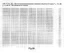 Fig. 19 - HPV chimaeric particle
