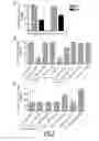 Fig. 02 - METHOD FOR PROGNOSING THE AGE-AT-ONSET OF HUNTINGTON'S DISEASE