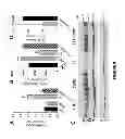 Fig. 10 - Methods and compositions for treating nephrogenic diabetes insipidus